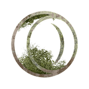 Opera GX Logo