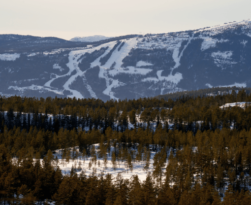 Norefjell